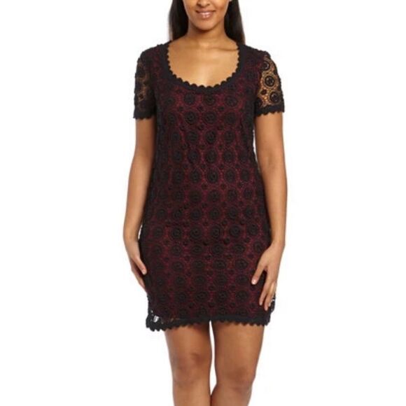 NWT FRENCH CONNECTION USA Hope Lace Dress size 4 - Picture 3 of 12
